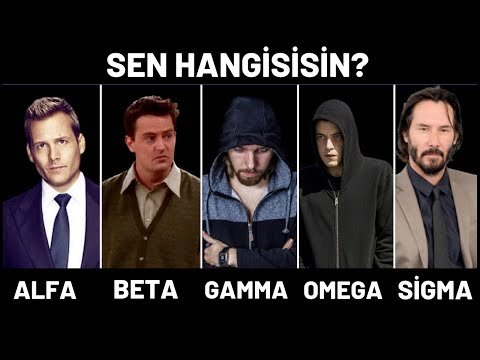 Hangi Erkek Tipi Daha Güçlü ve Zeki? Alfa, Beta, Delta, Sigma, Gamma