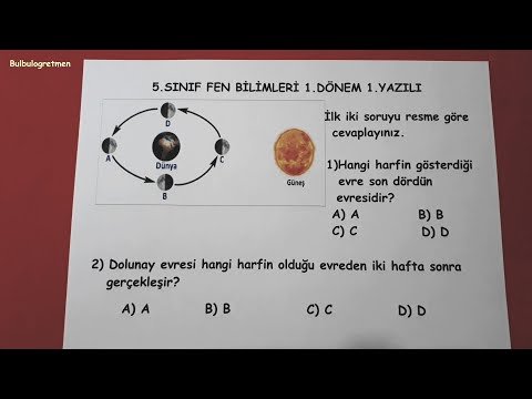 5.sınıf fen bilimleri 1.dönem 1.yazılı soruları  @Bulbulogretmen  #fen #fenbilimleri #5sınıf